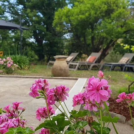 Holiday home Aroma *